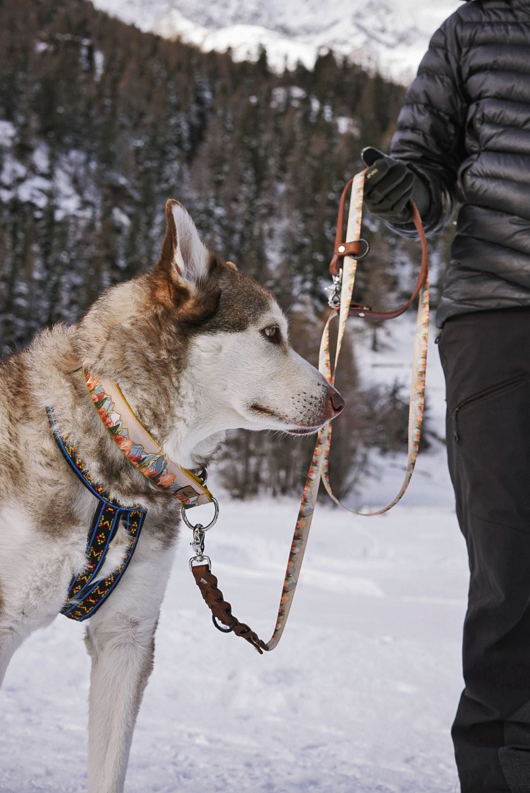 Zauberwald Hundeleine